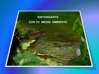 SINTONIZARTE CON TU  MEDIO  AMBIENTE