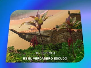 TU ESPÍRITU ES EL VERDADERO ESCUDO 