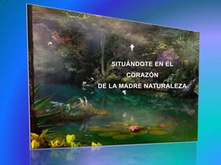 SITUÁNDOTE EN EL CORAZÓN DE LA MADRE NATURALEZA