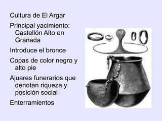 Bisontes de Altamira. 