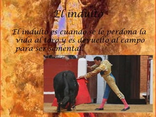 El indulto
El indulto es cuando se le perdona la
 vida al toro y es devuelto al campo
 para ser semental.
 