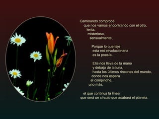 el que continua la línea  que será un círculo que acabará el planeta. Caminando comprobé    que nos vamos encontrando con el otro,    lenta,    misteriosa,    sensualmente,  Porque lo que teje  esta red revolucionaria es la poesía.    Ella nos lleva de la mano  y debajo de la luna,    hasta los últimos rincones del mundo,   donde nos espera  el compinche,  uno más, 