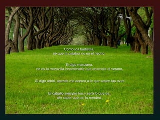 Como los budistas,  sé que la palabra no es el hecho.  Si digo árbol, apenas me acerco a lo que saben las aves Si digo manzana,  no es la maravilla innombrable que enamora el verano, El caballo siempre fue y será lo que es,  sin saber que así lo nombro. 
