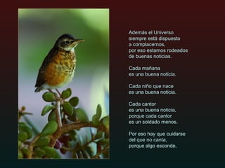 Además el Universo siempre está dispuesto  a complacernos, por eso estamos rodeados  de buenas noticias. Cada mañana  es una buena noticia.  Cada niño que nace  es una buena noticia. Cada cantor  es una buena noticia, porque cada cantor  es un soldado menos. Por eso hay que cuidarse  del que no canta, porque algo esconde. 