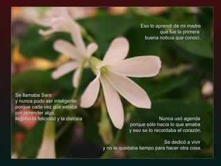 Eso lo aprendí de mi madre que fue la primera  buena noticia que conocí. Nunca usó agenda  porque sólo hacía lo que amaba  y eso se lo recordaba el corazón.   Se dedicó a vivir  y no le quedaba tiempo para hacer otra cosa. Se llamaba Sara  y nunca pudo ser inteligente porque cada vez que estaba  por aprender algo, llegaba la felicidad y la distraía 