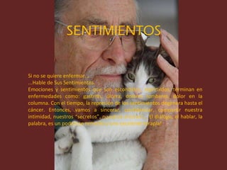 SENTIMIENTOS Si no se quiere enfermar... ...Hable de Sus Sentimientos. Emociones y sentimientos que son escondidos, reprimidos, terminan en enfermedades como: gastritis, úlcera, dolores lumbares, dolor en la columna. Con el tiempo, la represión de los sentimientos degenera hasta el cáncer. Entonces, vamos a sincerar, confidenciar, compartir nuestra intimidad, nuestros “secretos”, nuestros errores!... El diálogo, el hablar, la palabra, es un poderoso remedio y una excelente terapia! 