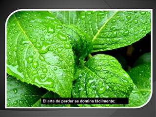 El arte de perder se domina fácilmente;
 