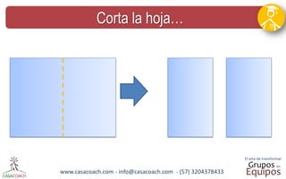 www.casacoach.com - info@casacoach.com - (57) 3204378433 
Corta la hoja…  