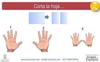 www.casacoach.com - info@casacoach.com - (57) 3204378433 
Corta la hoja… 
1 
2 
3  
