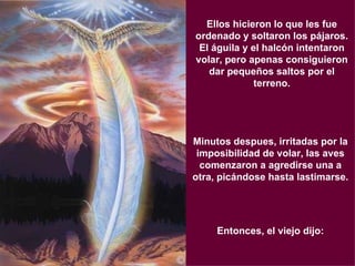 Ellos hicieron lo que les fue ordenado y soltaron los pájaros. El águila y el halcón intentaron volar, pero apenas consiguieron dar pequeños saltos por el terreno. Minutos despues, irritadas por la imposibilidad de volar, las aves comenzaron a agredirse una a otra, picándose hasta lastimarse. Entonces, el viejo dijo: 