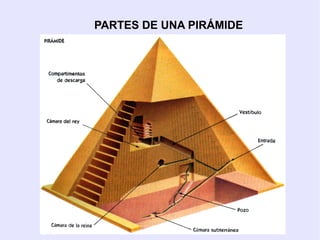 PARTES DE UNA PIRÁMIDE 
 