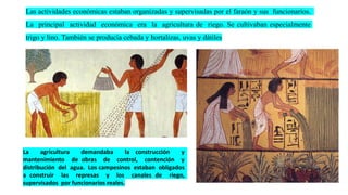 Las actividades económicas estaban organizadas y supervisadas por el faraón y sus funcionarios.
La principal actividad económica era la agricultura de riego. Se cultivaban especialmente
trigo y lino. También se producía cebada y hortalizas, uvas y dátiles
La agricultura demandaba la construcción y
mantenimiento de obras de control, contención y
distribución del agua. Los campesinos estaban obligados
a construir las represas y los canales de riego,
supervisados por funcionarios reales.
 