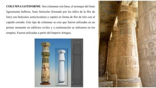 COLUMNA LOTIFORME: Son columnas con basa, el arranque del fuste
ligeramente bulboso, fuste fasticular (formado por los tallos de la flor de
loto) con fastículos semicirculares y capitel en forma de flor de loto con el
capullo cerrado. Este tipo de columnas se cree que fueron utilizadas en un
primer momento en edificios civiles y a continuación se utilizaron en los
templos. Fueron utilizadas a partir del Imperio Antiguo.
 
