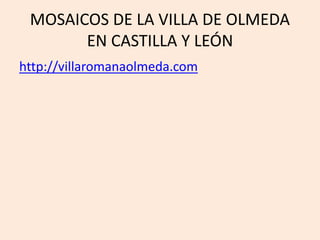 MOSAICOS DE LA VILLA DE OLMEDA 
EN CASTILLA Y LEÓN 
http://villaromanaolmeda.com 
 