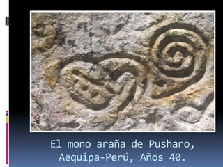 El mono araña de Pusharo,
 Aequipa-Perú, Años 40.
 