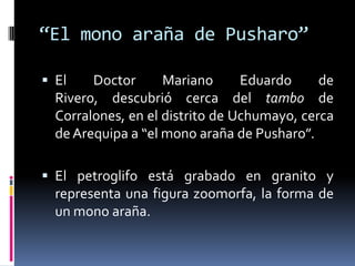 “El mono araña de Pusharo”

 El    Doctor      Mariano      Eduardo     de
  Rivero, descubrió cerca del tambo de
  Corralones, en el distrito de Uchumayo, cerca
  de Arequipa a “el mono araña de Pusharo”.

 El petroglifo está grabado en granito y
  representa una figura zoomorfa, la forma de
  un mono araña.
 
