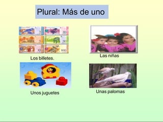 Plural: Más de uno
Los billetes.
Las niñas
Unas palomas
Unos juguetes