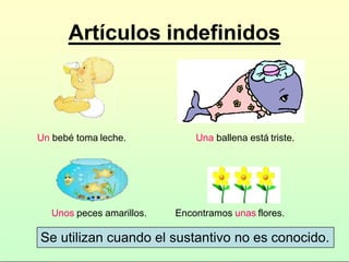 Artículos indefinidos
Un bebé toma leche. Una ballena está triste.
Unos peces amarillos. Encontramos unas flores.
Se utilizan cuando el sustantivo no es conocido.