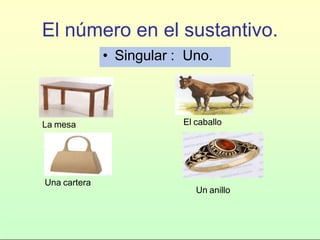 El número en el sustantivo.
• Singular : Uno.
La mesa El caballo
Un anillo
Una cartera