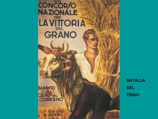 BATALLA
DEL
TRIGO
 