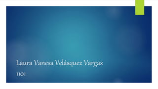 Laura Vanesa Velásquez Vargas
1101
 