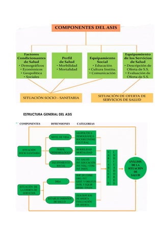 ESTRUCTURA GENERAL DEL ASIS
 