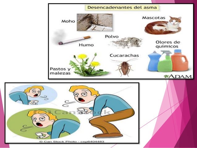Beclometasona efectos secundarios - Farmacia Beclometasona efectos secundarios - Farmacia