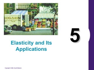 Elasticity and Its
            Applications
                                 5
Copyright © 2004 South-Western
 