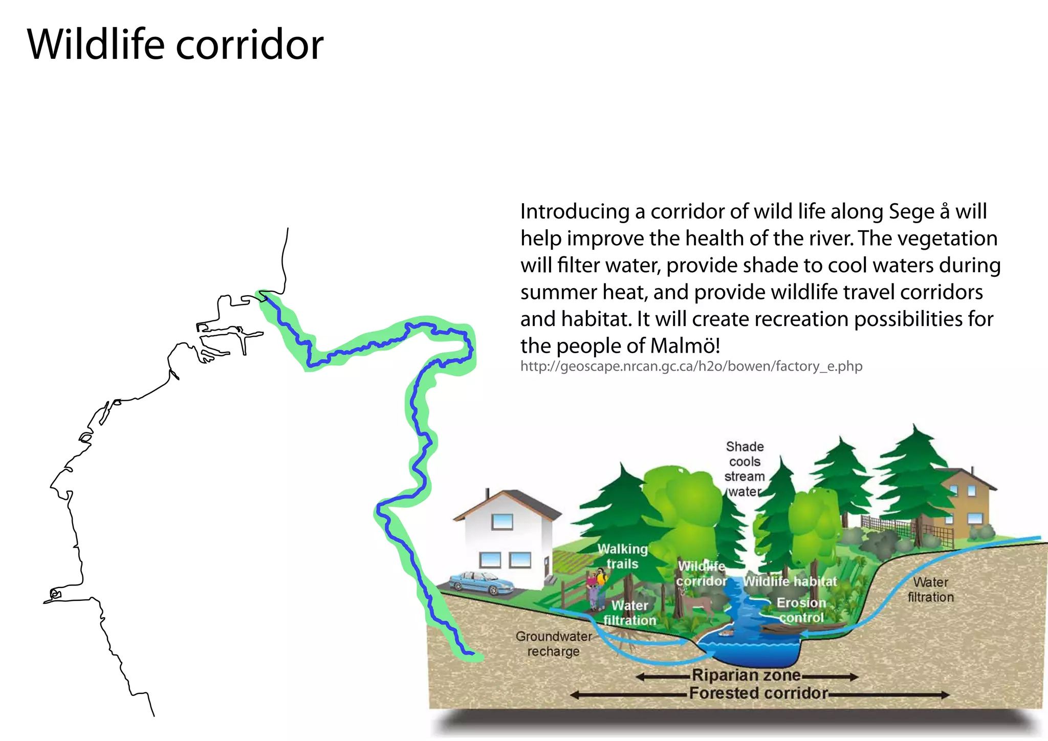 Wildlife corridor


                    Introducing a corridor of wild life along Sege å will
                    help improve the health of the river. The vegetation
                    will lter water, provide shade to cool waters during
                    summer heat, and provide wildlife travel corridors
                    and habitat. It will create recreation possibilities for
                    the people of Malmö!
                    http://geoscape.nrcan.gc.ca/h2o/bowen/factory_e.php
 