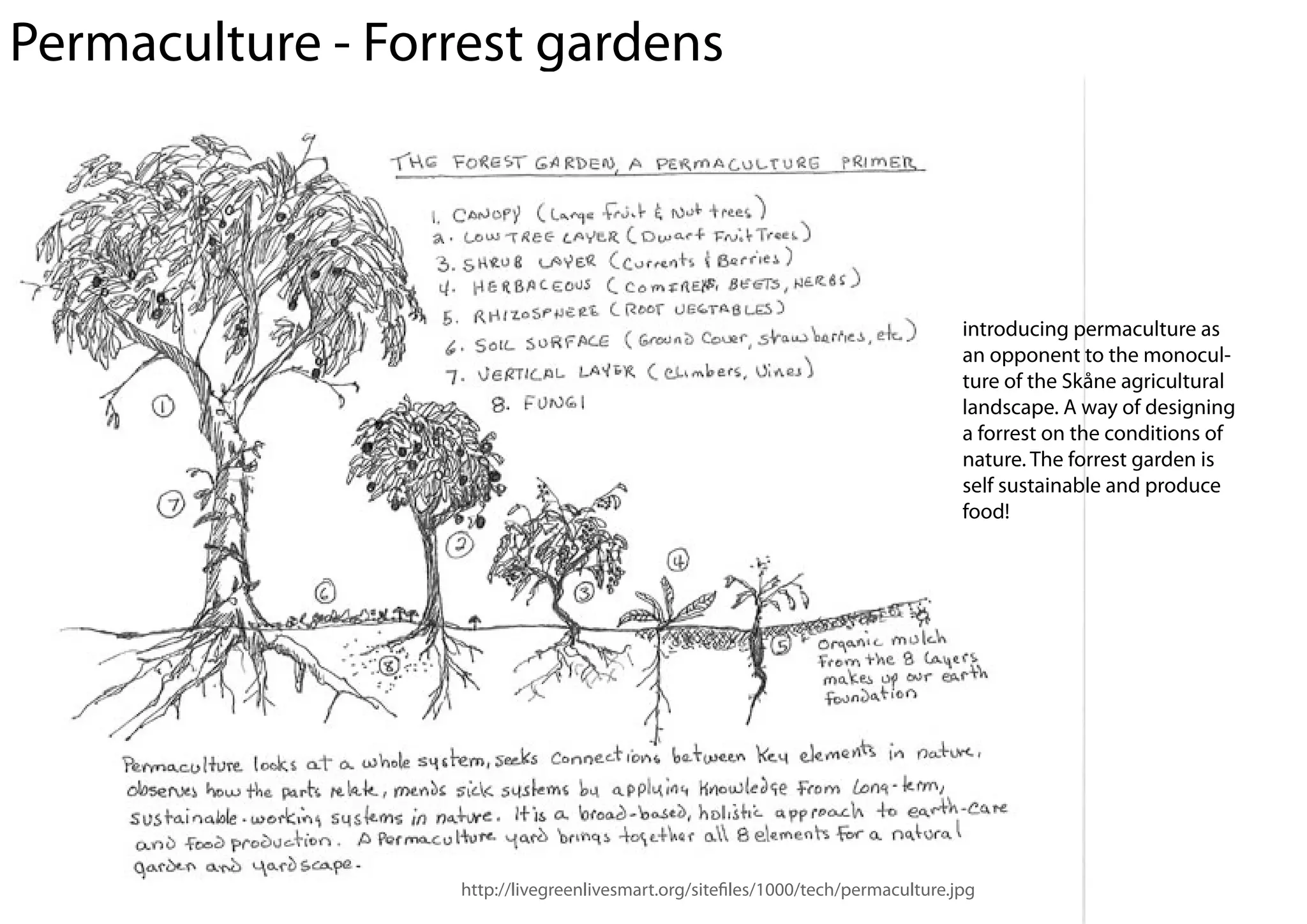 Permaculture - Forrest gardens



                                                                                 introducing permaculture as
                                                                                 an opponent to the monocul-
                                                                                 ture of the Skåne agricultural
                                                                                 landscape. A way of designing
                                                                                 a forrest on the conditions of
                                                                                 nature. The forrest garden is
                                                                                 self sustainable and produce
                                                                                 food!




                  http://livegreenlivesmart.org/site les/1000/tech/permaculture.jpg
 