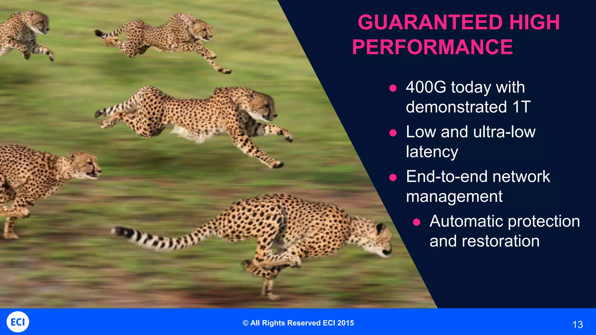 13
GUARANTEED HIGH
PERFORMANCE
 400G today with
demonstrated 1T
 Low and ultra-low
latency
 End-to-end network
management
 Automatic protection
and restoration
© All Rights Reserved ECI 2015
 