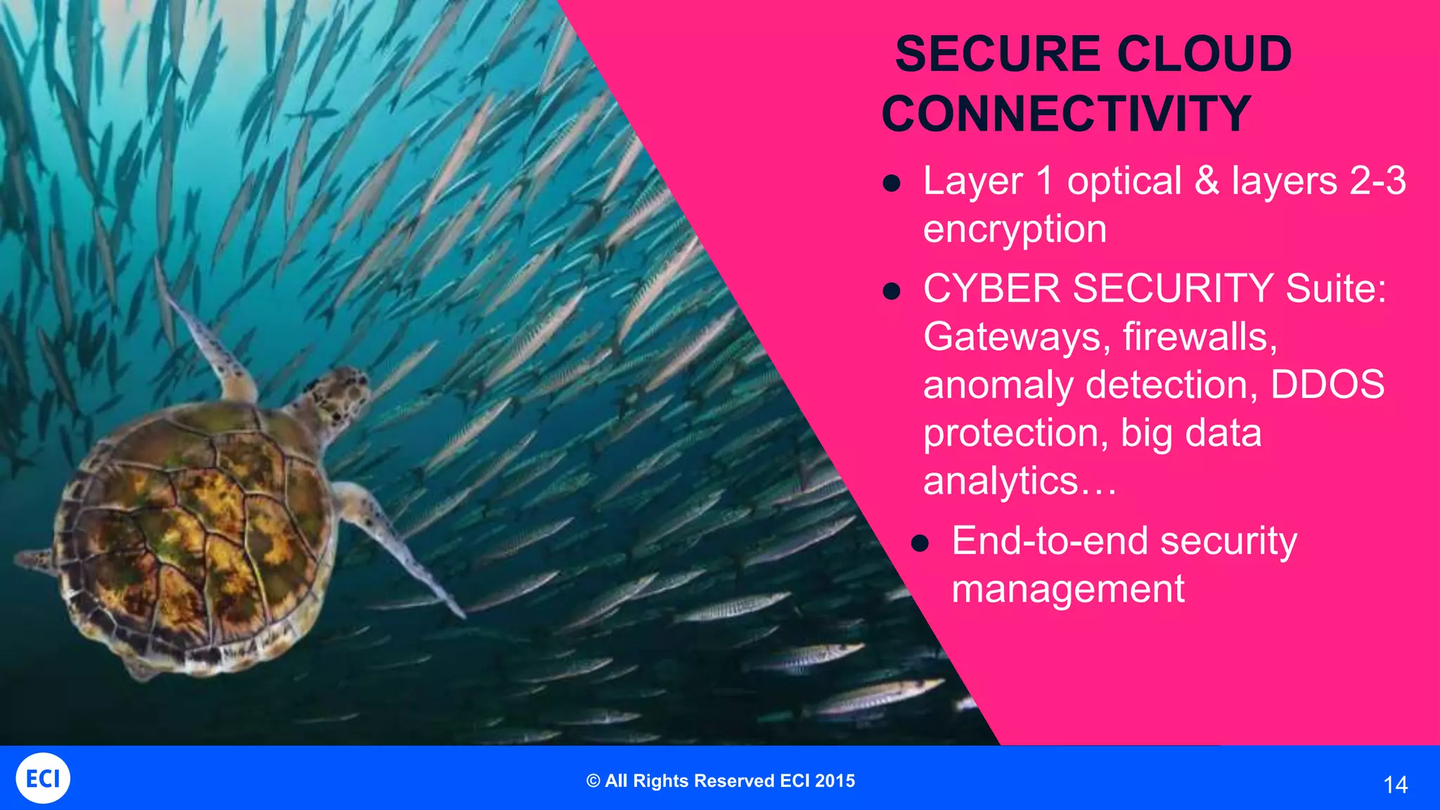 14
SECURE CLOUD
CONNECTIVITY
 Layer 1 optical & layers 2-3
encryption
 CYBER SECURITY Suite:
Gateways, firewalls,
anomaly detection, DDOS
protection, big data
analytics…
 End-to-end security
management
© All Rights Reserved ECI 2015
 
