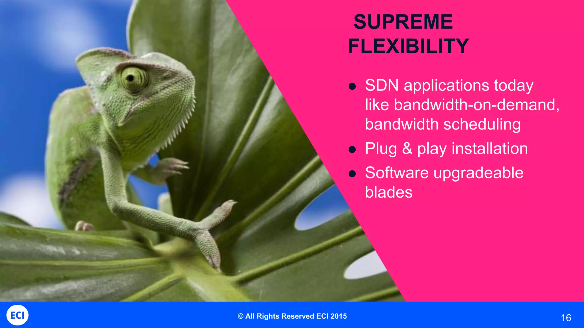 16
SUPREME
FLEXIBILITY
 SDN applications today
like bandwidth-on-demand,
bandwidth scheduling
 Plug & play installation
 Software upgradeable
blades
© All Rights Reserved ECI 2015
 