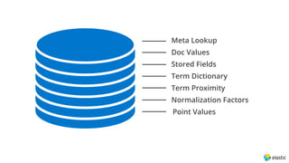 Doc Values
Stored Fields
Term Dictionary
Term Proximity
Normalization Factors
Point Values
Meta Lookup
 
