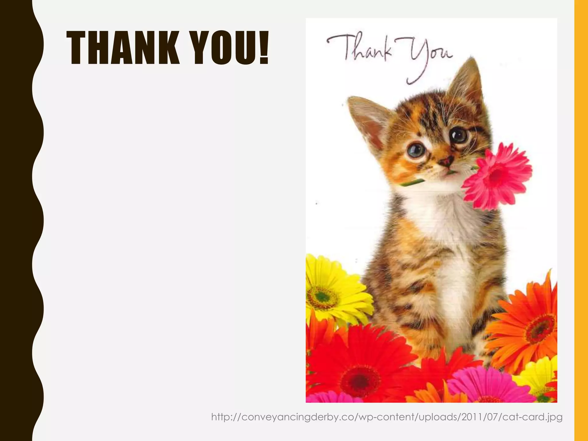 THANK YOU!
http://conveyancingderby.co/wp-content/uploads/2011/07/cat-card.jpg
 