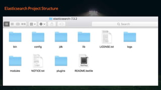 Elasticsearch Project Structure
 