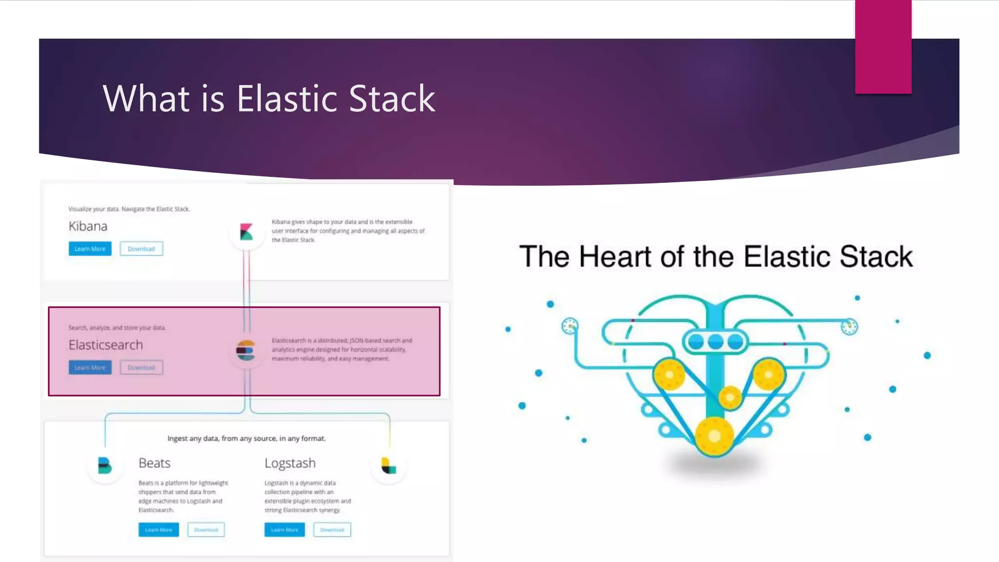 What is Elastic Stack
 