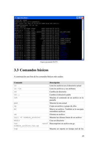 49
Figura ejecutando PuTTY
3.3 Comandos básicos
A continuación una lista de los comandos básicos más usados:
Comando Descripción
ls Lista los archivos en el directorio actual
ls -la Lista los archivos y sus atributos
cd Cambia de directorio
cd .. Cambia al directorio padre
cat Muestra el contenido de un archivo en la
pantalla
pwd Muestra la ruta actual
cp Copia un archivo o grupo de ellos
mv Mueve un archivo. También se lo usa para
renombrar archivos
rm Elimina un archivo
tail -f nombre_archivo Muestra las últimas líneas de un archivo
mkdir Crea un directorio
tar -xvzf
nombre_archivo.tar.gz
Descomprime un archivo tar.gz
top Muestra un reporte en tiempo real de los
 