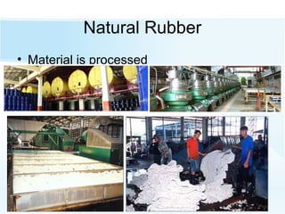 Natural Rubber
• Material is processed
 