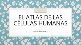 EL ATLAS DE LAS
CÉLULAS HUMANAS
Tópicos Selectos de T.I
 