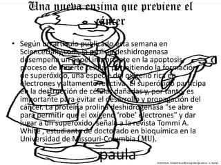 Una nueva enzima que previene el
                cáncer
• Según un artículo publicado esta semana en
  ScienceDaily.com, la prolina deshidrogenasa
  desempeña un papel importante en la apoptosis,
  proceso de muerte celular, permitiendo la formación
  de superóxido, una especie del oxígeno rica en
  electrones y altamente reactiva. El superóxido participa
  en la destrucción de células dañadas y, por tanto, es
  importante para evitar el desarrollo y propagación del
  cáncer. La proteína prolina deshidrogenasa "se abre
  para permitir que el oxígeno ‘robe’ electrones" y dar
  lugar a un superóxido, señala a la revista Tommi A.
  White , estudiante de doctorado en bioquímica en la
  Universidad de Missouri-Columbia (MU).

                          paula
 