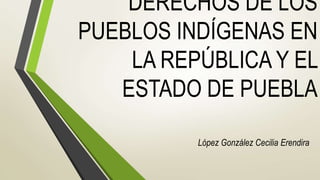 DERECHOS DE LOS
PUEBLOS INDÍGENAS EN
LA REPÚBLICA Y EL
ESTADO DE PUEBLA
López González Cecilia Erendira
 