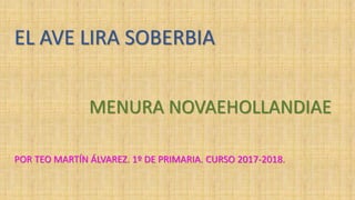 EL AVE LIRA SOBERBIA
MENURA NOVAEHOLLANDIAE
POR TEO MARTÍN ÁLVAREZ. 1º DE PRIMARIA. CURSO 2017-2018.
 
