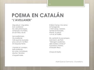 POEMA EN CATALÁN
“L’AVELLANER”
Mig arbust, mig arbre,
bon avellaner,
les valls pirinenques,
ombroses I humides,
et són fresc recer.
Les avellanoses,
Viu avellaner,
més que les rouredes
prou amunt s’enfilen
en esquerp terrer.
I també et conreen,
bell avellaner,
en unes comarques
eixutes i tendres,
d’esperit rioler.
El Baix Camp n’és reina;
el Tarragonès
i l’Alt Camp, darrere;
també el Penedès,
Priorat, la Selva
i un xic el Vallès.
Els cantants ho escampen,
Lluís Llach, els Pets:
“Mengem avellanes
dels nostres conreus!”
Constantí, Porrera,
el Morell i Reus.
Chiara Di Nolfo
Martí Garcia Carmona - El avellano
12
 