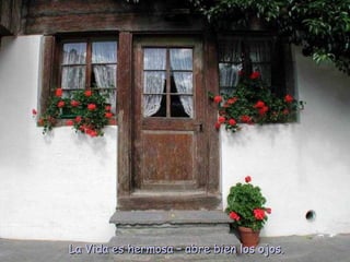 La Vida es hermosa – abre bien los ojos. 