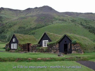 La Vida es emocionante – mantén tu curiosidad. 