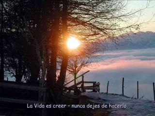 La Vida es creer – nunca dejes de hacerlo.  