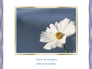 Ayuna de amargura.
Llénate de perdón.

 