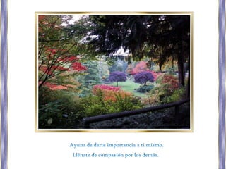 Ayuna de darte importancia a ti mismo.
Llénate de compasión por los demás.

 
