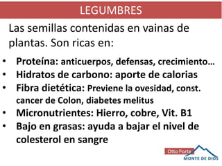 LEGUMBRES
Las semillas contenidas en vainas de
plantas. Son ricas en:
• Proteína: anticuerpos, defensas, crecimiento…
• Hidratos de carbono: aporte de calorias
• Fibra dietética: Previene la ovesidad, const.
cancer de Colon, diabetes melitus
• Micronutrientes: Hierro, cobre, Vit. B1
• Bajo en grasas: ayuda a bajar el nivel de
colesterol en sangre
 